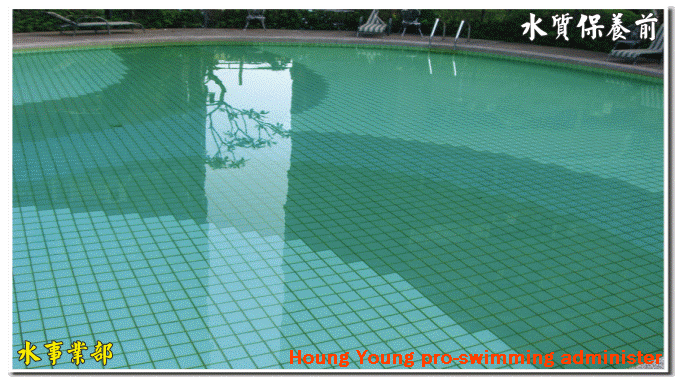 鴻陽運動事業有限公司(水事業部)-專業游泳池管理