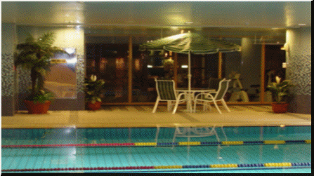 專業泳池委託管理-現場擺設美化及綠化由本公司負責規劃